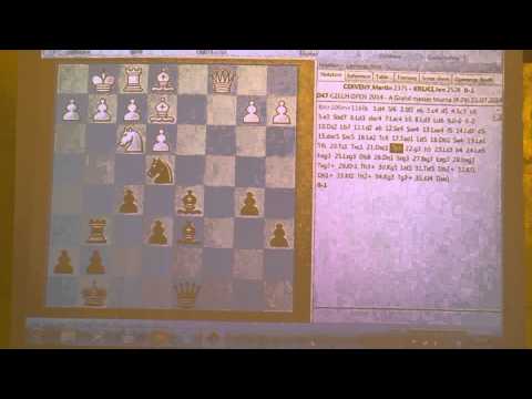 A 4.29. FM Martin ČERVENÝ  - GM Jan KREJČÍ  0 - 1