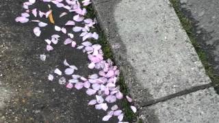 No Safety Zone ©2008