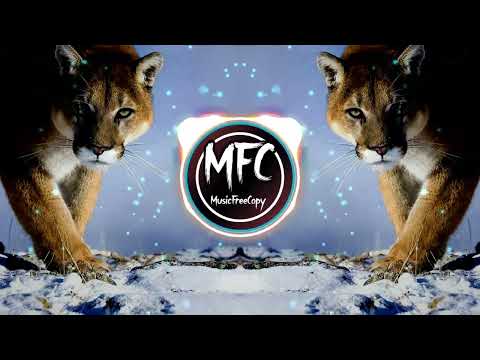 🎵 (Free Copyright Music) 🎶 WYKO, KAMIX & TRIF3CTO - Company (EDM) 🎧