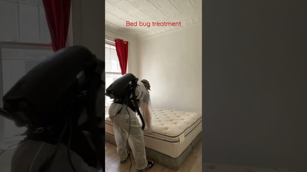 Bed bug treatment, the right way of getting the job done and eliminating bed bug once for all . ￼
