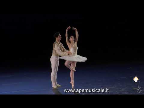 Roberto Bolle & Friends, Arena di Verona 2018 (estratti)