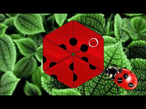 Mala moćna mozgalica - Bubamara