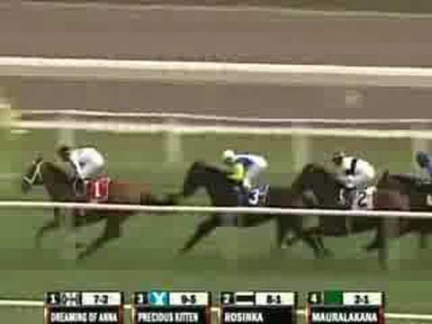 2008 Beverly D. Stakes
