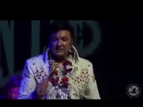 My Way Live with The Memphis Flash