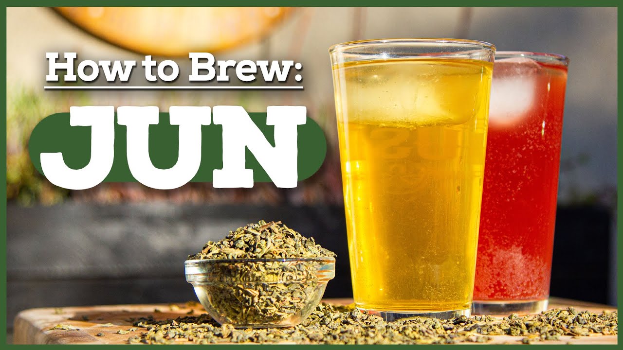 What is JUN Tea? How to Make Jun Kombucha