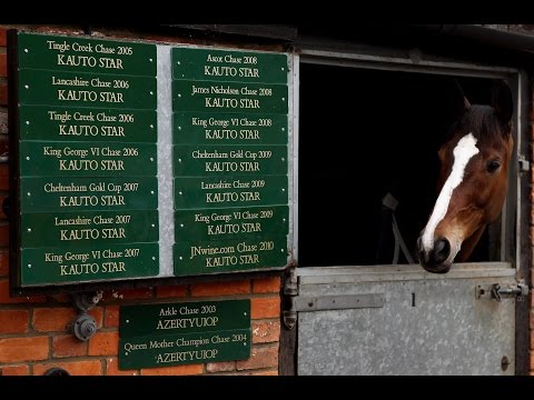 Kauto Star - 'A horse racing legend, a sporting legend' | Channel 4 Racing