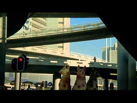 Loeries 2009, Bronze, Advertising - TV, Net#work BBDO, Cell C, Talking Man