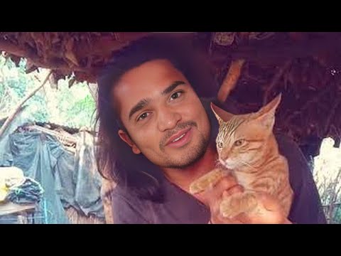 Dhanu, Tanu, and Manu Cats  Funniest Moments: You Won't Stop Laughing | Theramson Pets