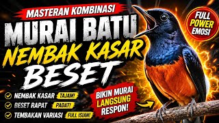 Download lagu MASTERAN MURAI BATU FULL TEMBAKAN KASAR 🔥SUPER RAPAT BIKIN LAWAN KICEP🔥 bikin emosi naik dan nempel. mp3 Download lagu MASTERAN MURAI BATU FULL TEMBAKAN KASAR 🔥SUPER RAPAT BIKIN LAWAN KICEP🔥 bikin emosi naik dan nempel. mp3