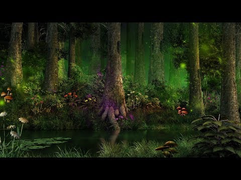 download lagu mp3 mp4 Fantasy Forest, download mp3 Fantasy Forest free downloadn, video klip Fantasy Forest