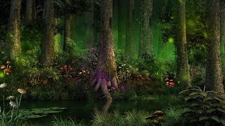 MYSTICAL Forest Music - Enchanting Magical Creatures