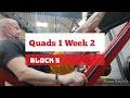 DVTV: Block 5 Quads 1 Wk 2