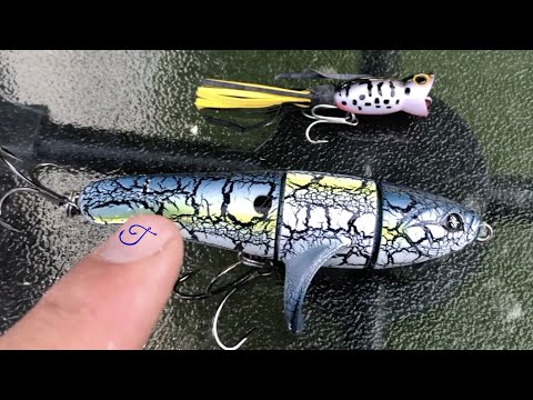 Hula Popper vs Revolver SURFACE LURE FISHING CHALLENGE