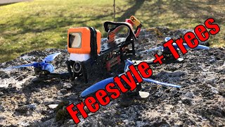 FPV Freestyle + Trees = Treestyle | Practicing dives and general freestyle with my 5 inch quad