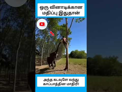 ஒரு வினாடிக்கான மதிப்பு #shorts