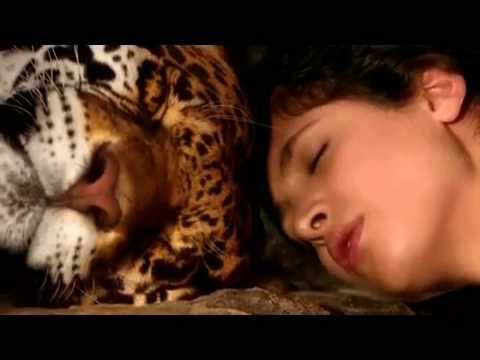 Tiger in the night video