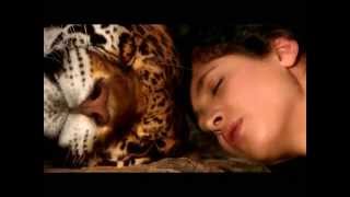 Katie Melua - Tiger In The Night