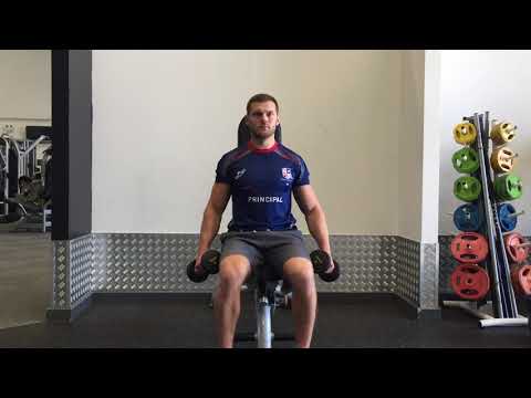 Seated Partial Lateral Raises