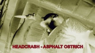 04 HEADCRASH  - ASPHALT OSTRICH - Live