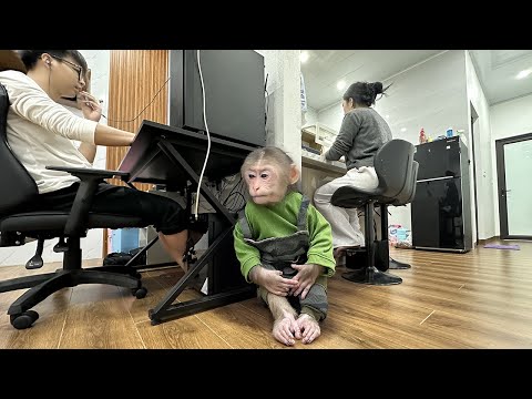 Lala feels sad because Mom and Dad are too busy to play with her!