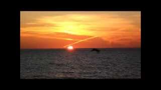 I don&#39;t Know by Soul For Real