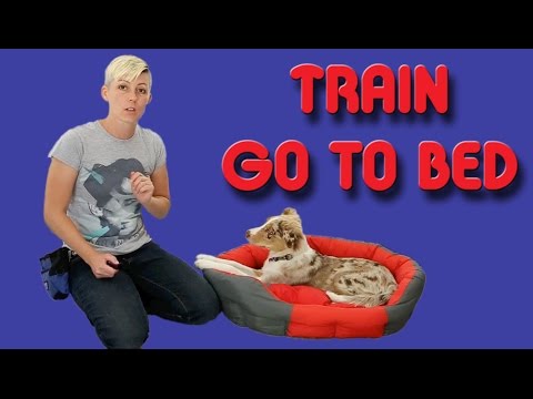 The EASIEST way to train your puppy to go to his bed - Dog training
