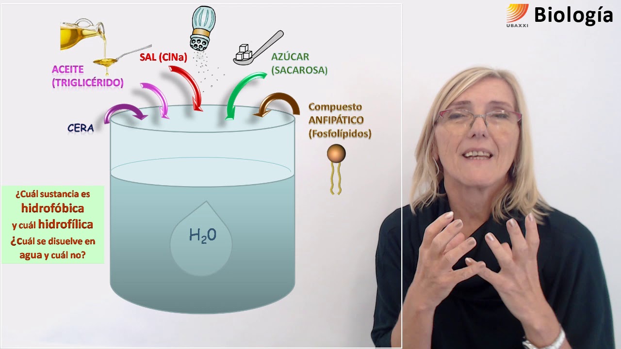 8-Biología.Propiedades de las biomoléculas (I)