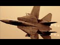 F 14 TOMCAT TRIBUTE