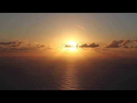 Bleibt in meiner Liebe (Joh 15,9)