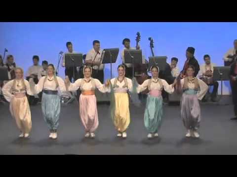 Vranje – 1 ansambl - Kurtheater Baden 2008. godine - KUD KOLO Baden