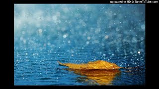 X Томъёо - Бороо ба нулимс