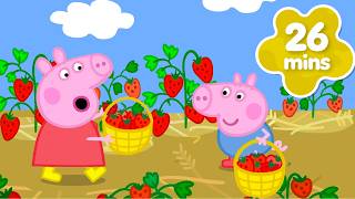 Peppa Pig impara a raccogliere le fragole! 🍓| Nuovi episodi completi
