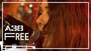 The Ministry of Wolves - The Frog Prince // Live 2014 // A38 Free