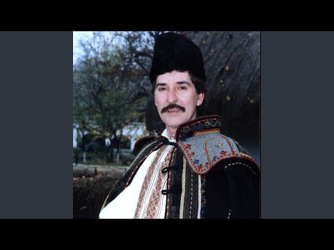 Hai, Hai Cu Trasioara