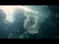 Remix serenading Unicorn (the last Unicorn ...