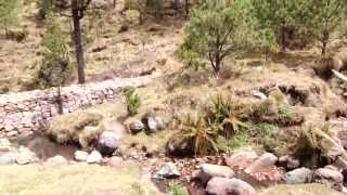 Al rescate del Río Magdalena. Clorofila