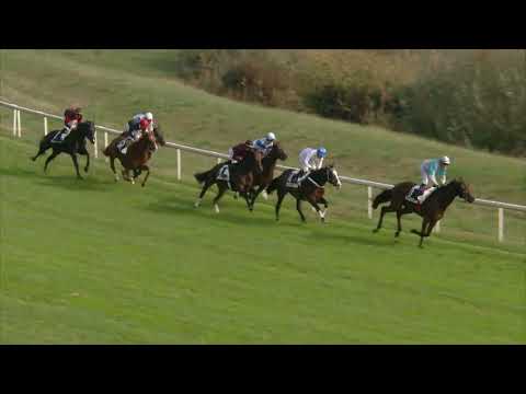 Avenches/19.10.2018/Prix de Saint-Moritz