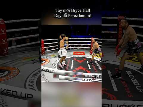 Pro Boxer TÁT đối thủ, ăn cú Knockout CAY ĐẮNG trước YouTuber Bryce Hall | BLV Võ Thuật