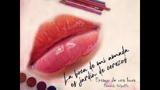 KARAOKE Fernando Delgadillo Ensayo de una boca