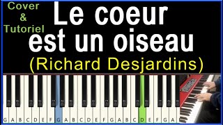 dŸŽ¹ Le coeur est un oiseau (Richard Desjardins) TUTORIEL de piano COVER