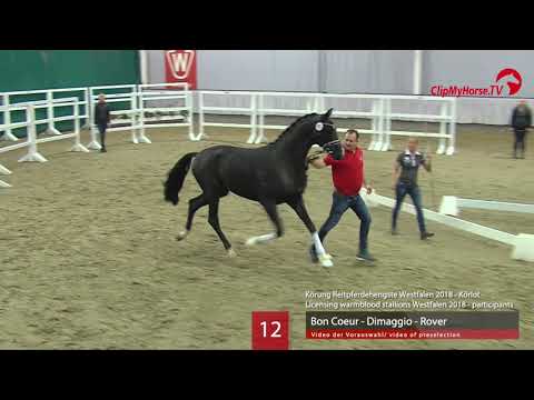 12 Hengst v.  Bon Coeur - Dimaggio - Rover