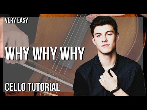 SUPER EASY: How to play Why Why Why  by Shawn Mendes on Cello (Tutorial)