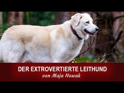 Der Leithund: Raida - kommentiert von Maja Nowak