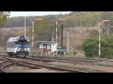 Túrování Hydry v Nemoticích