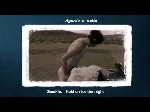 Hold On For The Night - Smokie