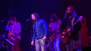 The Magpie Salute - She Gave Good Sunflower