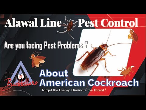 About Cockroach, why are cockroaches so hard to kill ?
