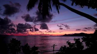 F*ck Co-workers: A Guided Meditation