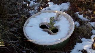 preview picture of video 'Plantas sobreviven a las heladas en Balsareny'