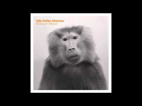 Nils Petter Molvaer-Sleep With Echoes (Baboon Moon)